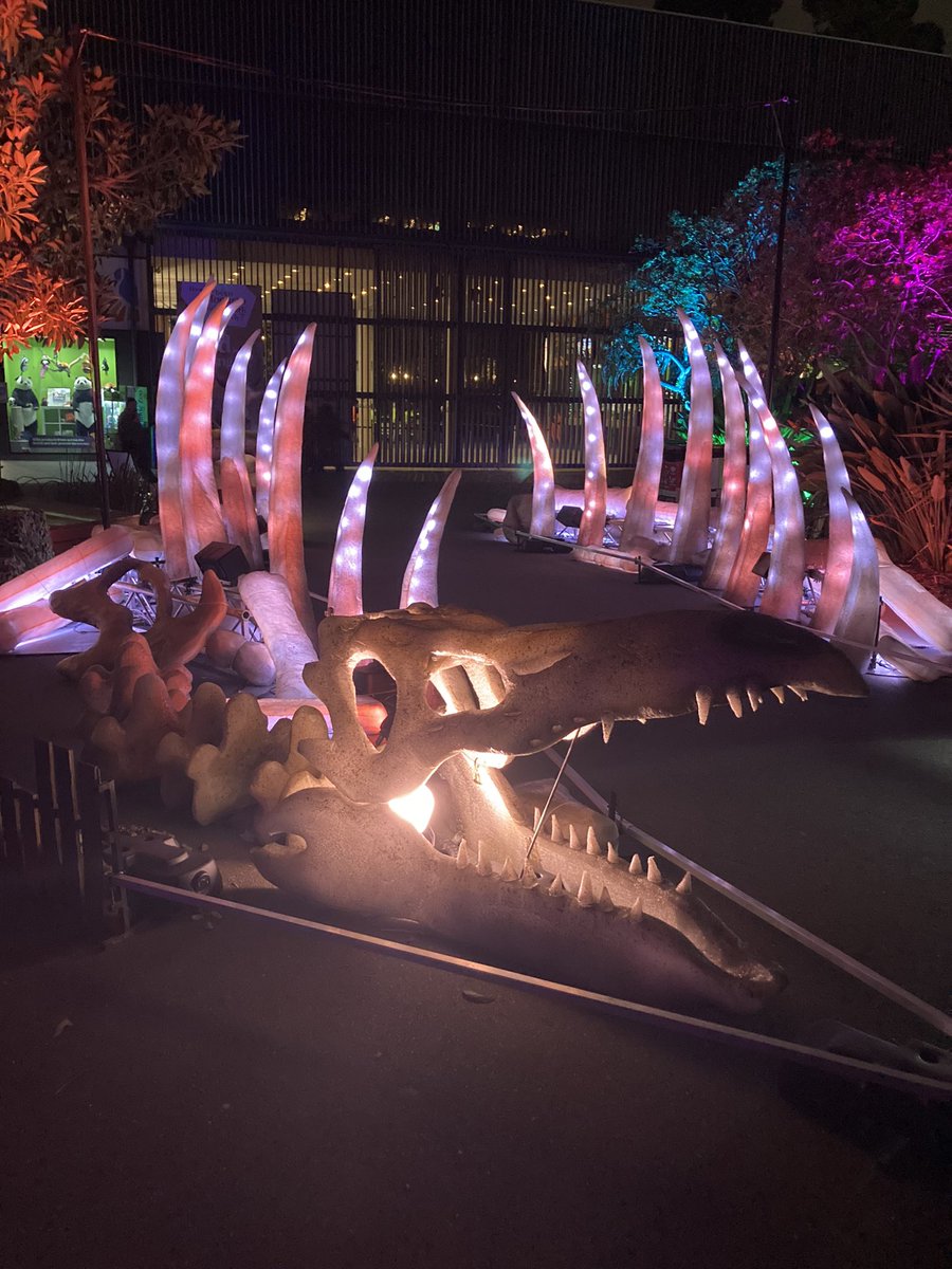 Great night at the zoo. 🦖🦕