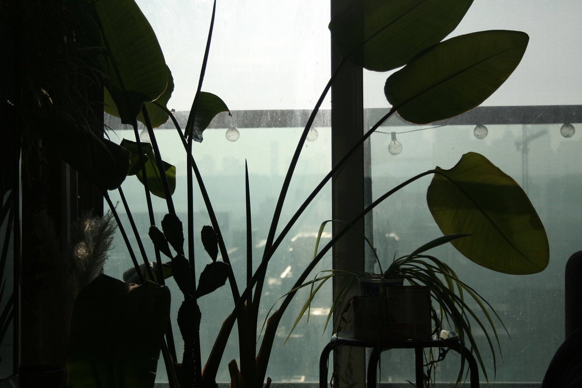 Ajay Sabs (@ajaysabs) on Twitter photo 