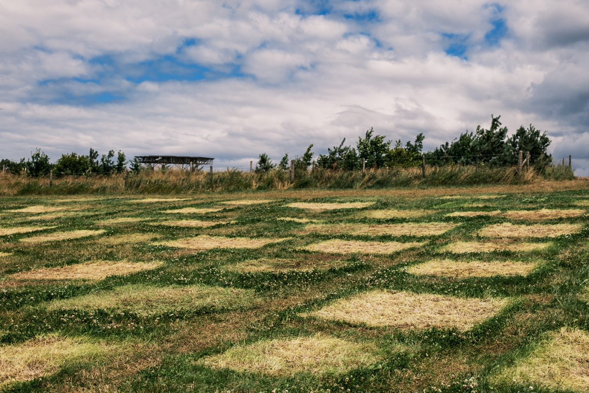 roberthendel's tweet image. Intet efterladt … #rf24