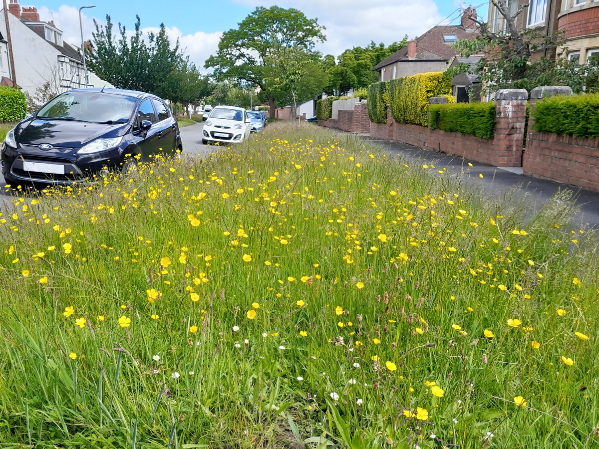 Cardiff Council tweet media