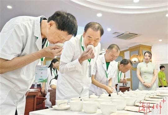 lovechaozhou's tweet photo. On July 6th, 353 tea samples were gathered at the 2024 #Chaozhou Gongfu #Tea Conference's🍵 #Phoenix Dancong Tea Public Tasting Event🍃. Judges evaluated and scored the competing tea samples by examining their appearance, aroma, liquor color, taste, and leaf base. https://t.co/QnVwVRWVOZ