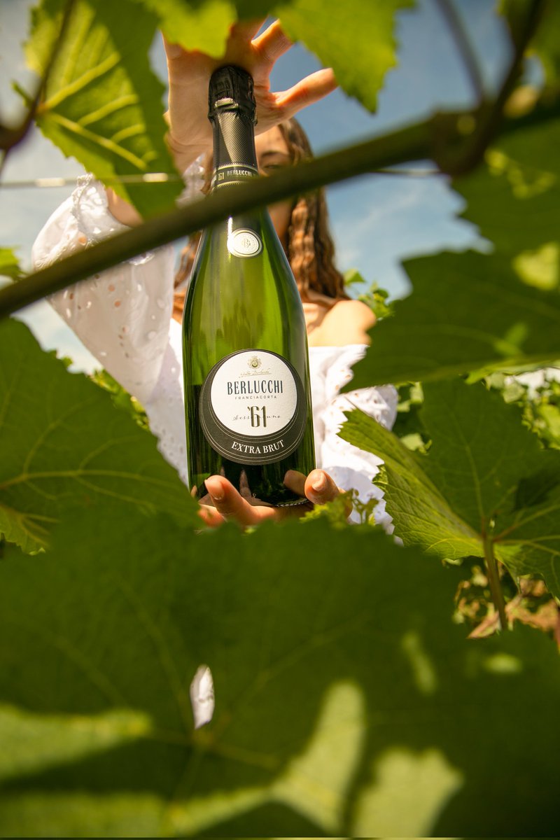 BerlucchiWine's tweet photo. 61 extra brut, massima espressione di naturalezza dei vigneti Franciacorta, a dosaggio quasi zero. #berlucchi61numeroprimo https://t.co/n8J0s5P388