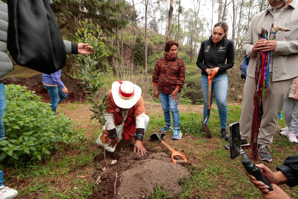 FerFlores_Emp's tweet photo. Este domingo, tempranito, comenzamos la jornada de reforestación de más de mil pinos y acacias, en El Cerro de los Magueyes. 🌳🌱

Sumémonos todos por el medio ambiente. 🌎

#MetepecBrilla
#CiudadanosGobernando https://t.co/tqyD46OyOT