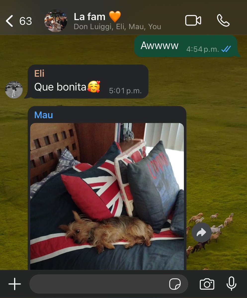 vargassssm's tweet photo. Mi familia: ya no quiero más perros
Mi familia tambien: https://t.co/LlpTE5QhHu