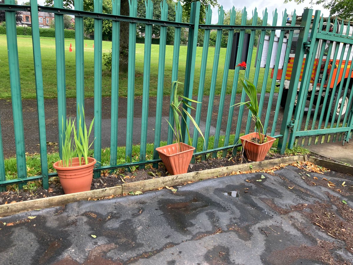 FoKGVPF's tweet photo. Thank you to all the volunteers this morning clearing, planting and pruning around King George V Playing Fields. 🌳🌹🌻

@alan161te @twccg_org @TamesideCouncil https://t.co/ue5h7eMIJo