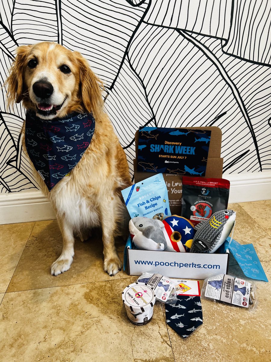 Woof! Woof! Don't miss Shark Week starting TODAY on <a href="/Discovery/">Discovery</a>! 🦈#SharkWeek🐶Get your official Shark Week Box @ poochperks.com