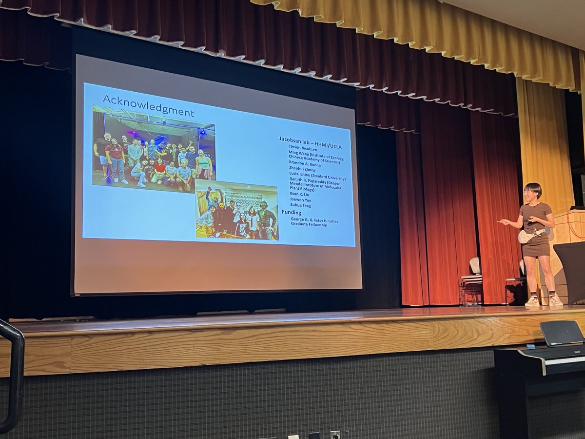 ChromatinGRS's tweet photo. That's a wrap on the #ChromatinGRS2024 talks! Shuya Wang from @UCLA closes us out by exploring how MBD2 impacts DNA methylation and transposable element silencing using in gametogenesis. 🌸 

The GRS came and went so soon! Now, it's time for the GRC!!! 🧬🧬🧬 Bring on the big kids!