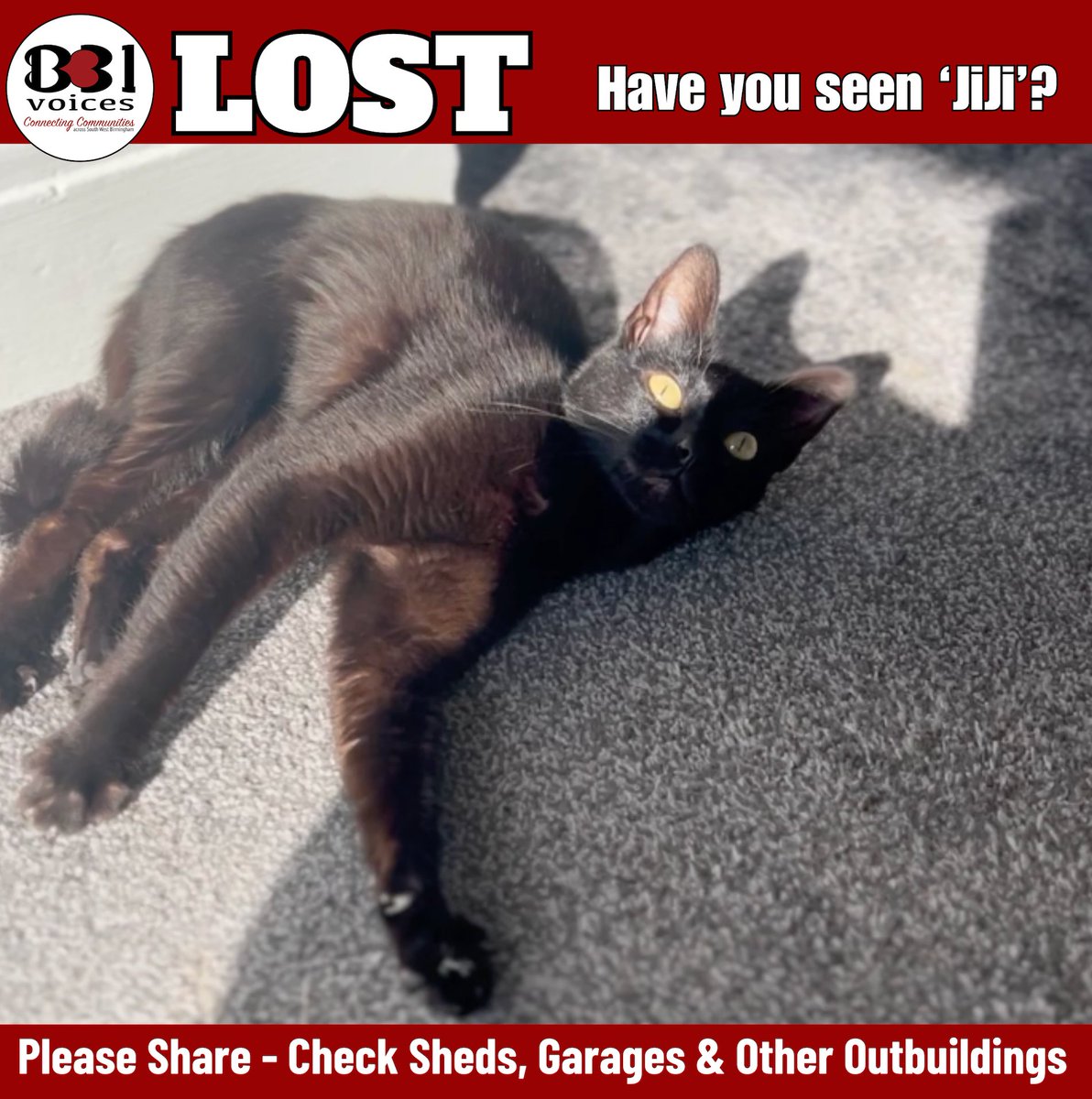 B31Voices's tweet photo. π± Black Female Cat - Aged 2
π 06/07/24
π Mavis Road - #Northfield
π΄ Collar: Yes
βΉοΈ Jiji is a House cat
#SWBrumLOST
#LostCat
#Birmingham
#BirminghamUK https://t.co/BrnLoljGXY