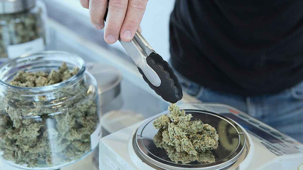 CannabisUrlaub's tweet photo. Medizinisches Cannabis jetzt in Griechenland legal erhältlich - z.B. in #Athen, #Thessaloniki, #Patras, #Heraklion (Kreta) und #Korinth
https://t.co/8qTQGOglU4
#cananbisurlaub #CannabisCommunity #GreeceNews #Greece #cannabismedicine #cannabisnews #weedmob #sativa #inselkreta https://t.co/RG1wTt6N5p