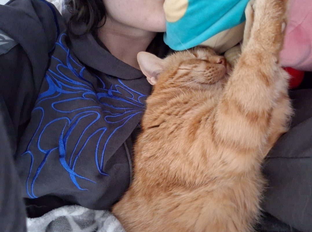 ₊✮rira✮₊ tweet media