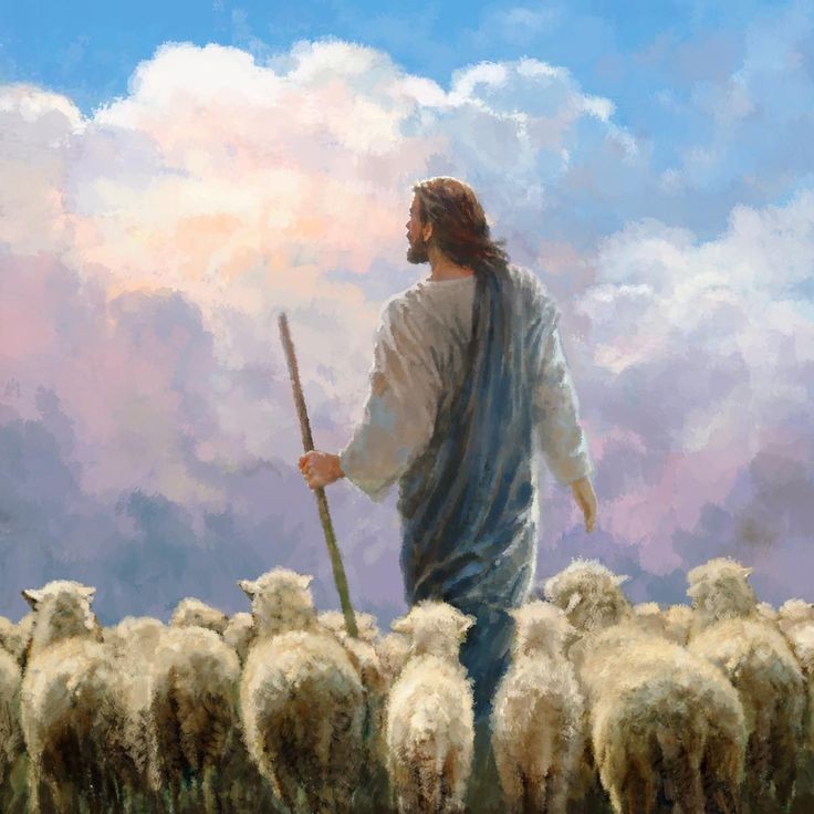 PadrepioSaint's tweet photo. "Always live under the eyes of the Good Shepherd and you will walk unharmed through evil pastures." https://t.co/t6oa44koIc