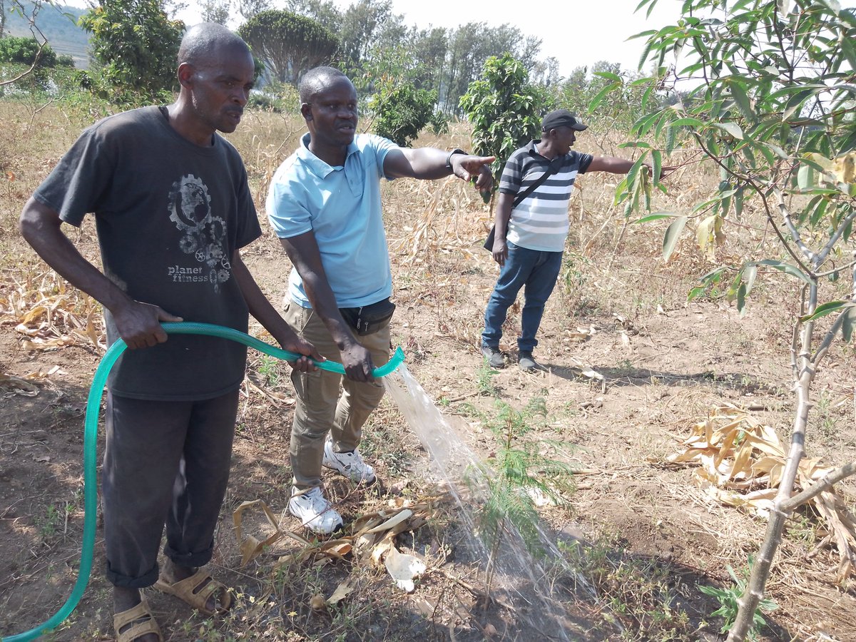 RECOR Rwanda tweet media