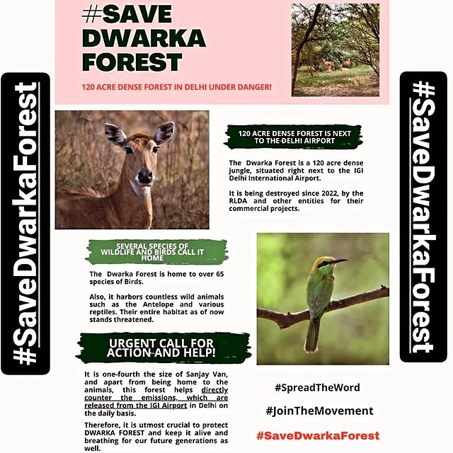 IsmailTrust_'s tweet photo. #DwarkaForest, a crucial #greenzone is battling urbanization's advance alone.
Its proximity to the #IGIairport adds urgency to its preservation.
The #SaveDwarkaForest Campaign is an urgent call to protect this one of the last remaining #greenzones of #Delhi
#NewDelhi https://t.co/GrOSpZ7SsV