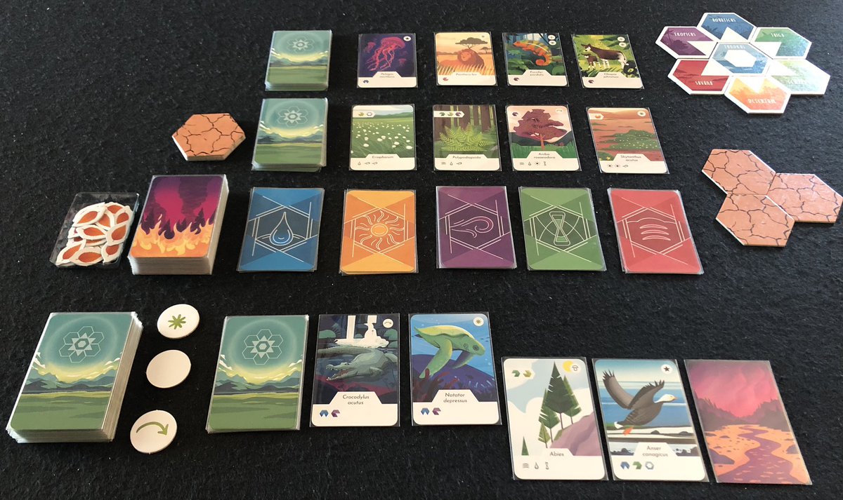 SpanishNightjar's tweet photo. Primera partida a Ecosfera. Me ha encantado el juego y he restaurado todos los biomas al final. Hay que conseguir cartas de flora con las cartas de elementos, luego con las de flora las de fauna y con estas restaurar los biomas. Ilustraciones preciosas y mecánicas bien ajustadas. https://t.co/NbMmVCK0vC