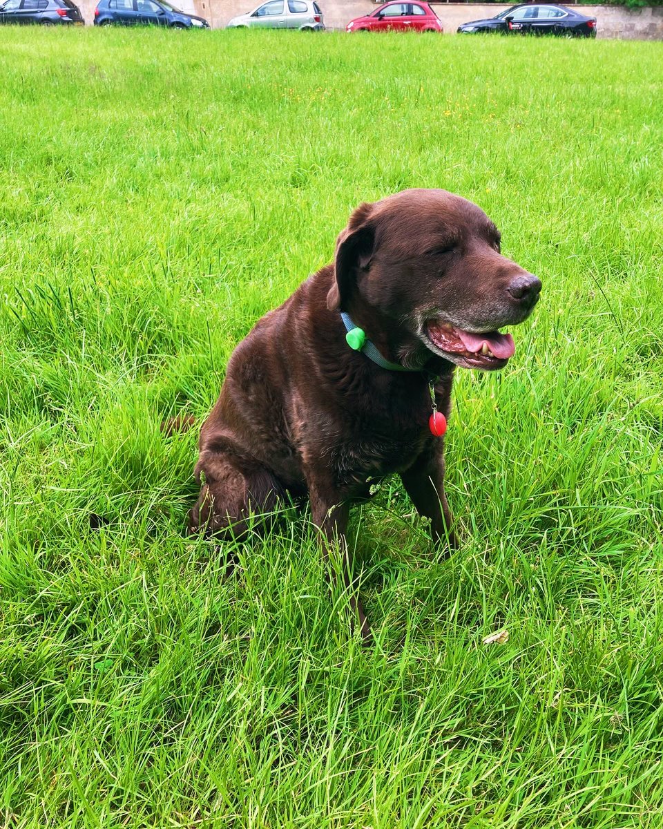 Bill Blockhead tweet media