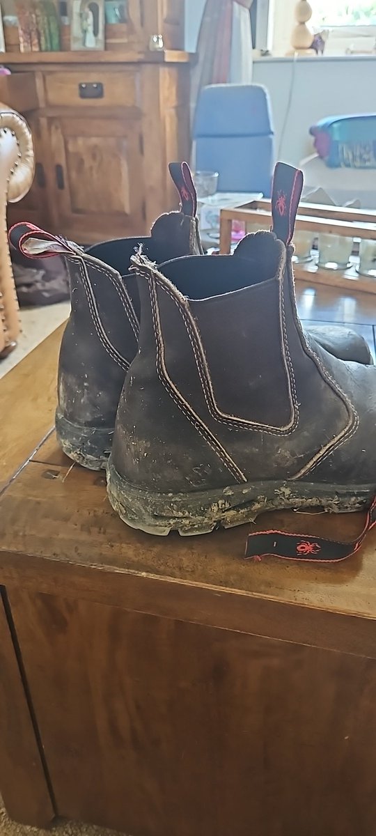 Mark Robinson tweet media