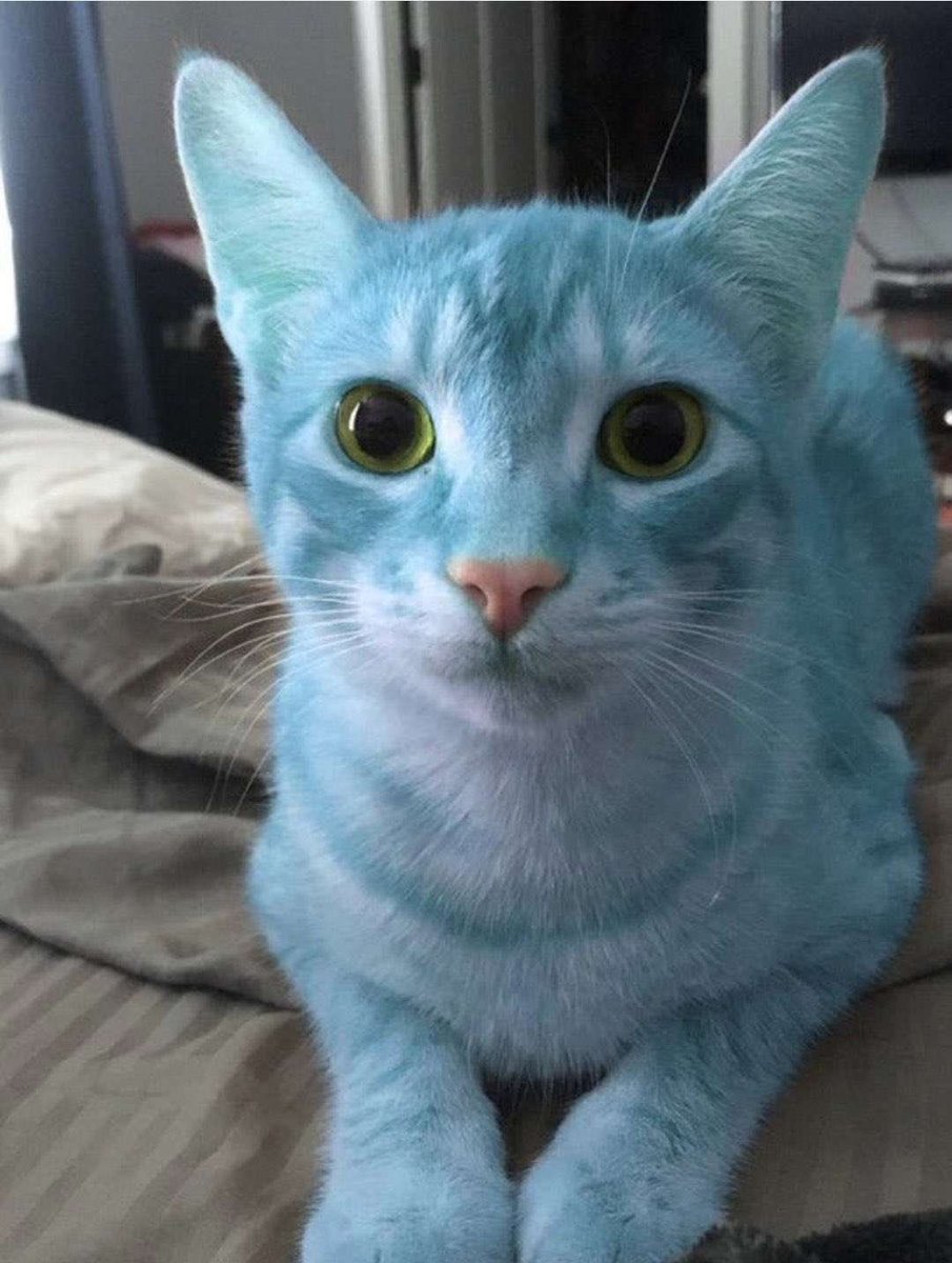 spookwav's tweet image. Chell: EEEEEYIKES!! How am I supposed to “Test” this “Chamber” if this mean robot lady wants these turrets to kill me?!

The portals: