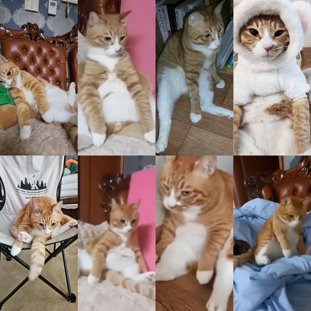 eternallino's tweet image. soonie sitting like he got bills to pay