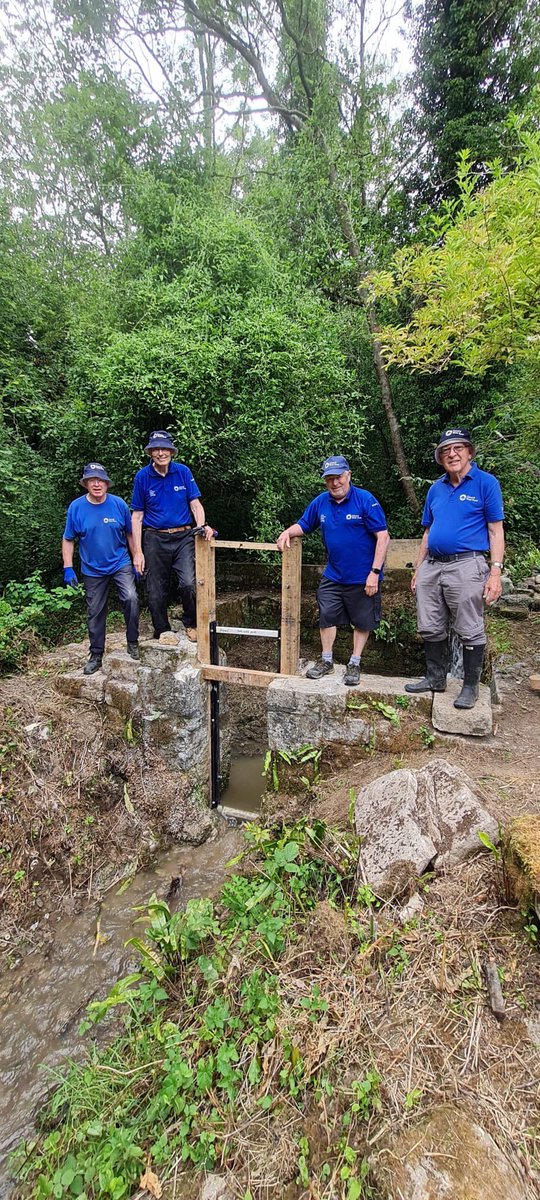 Dave Newman tweet media