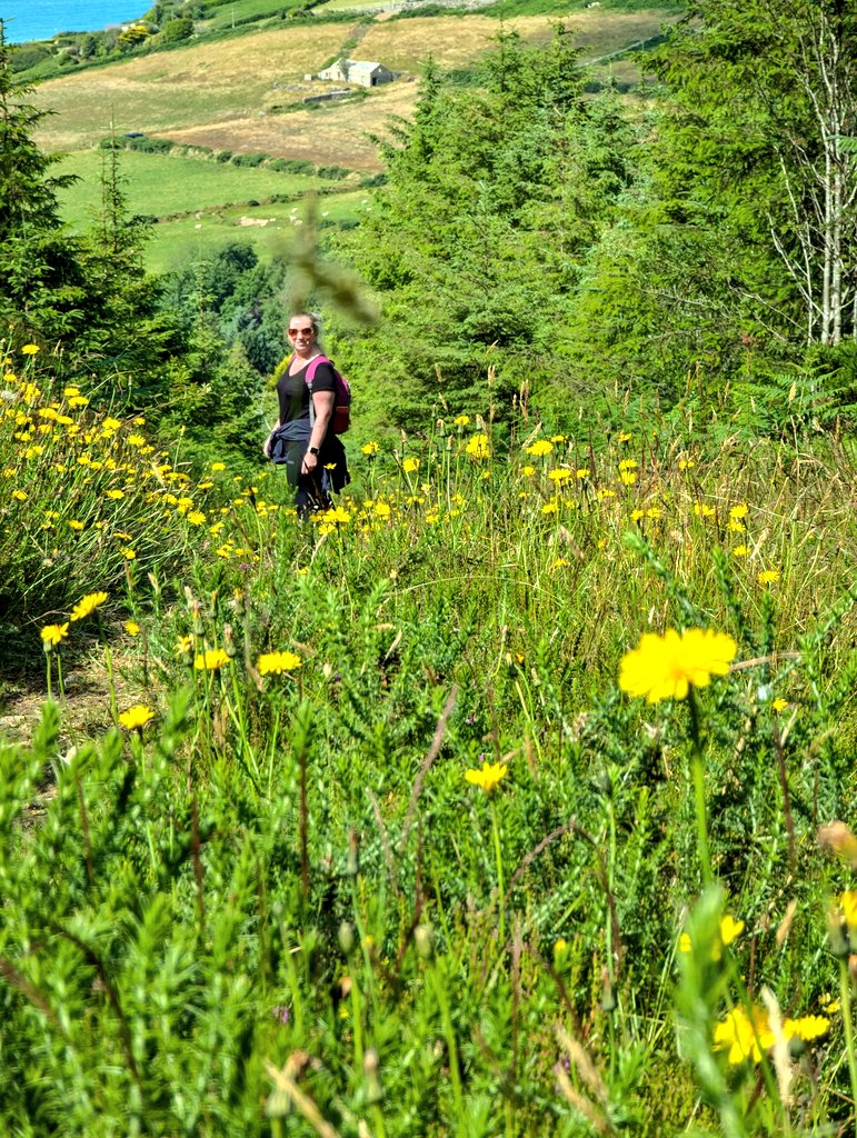 Craig Colville tweet media