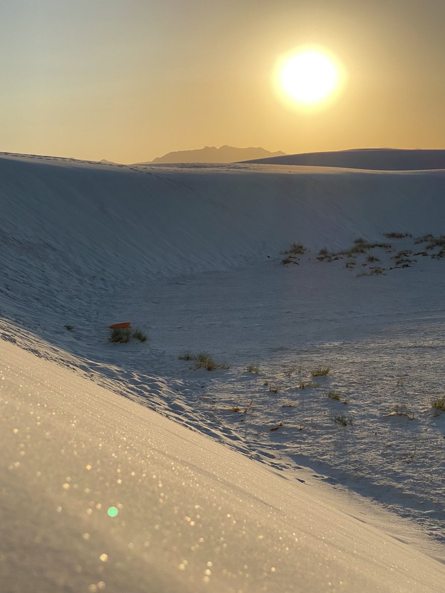 Manu G. Algaba 🏳️‍🌈🏳️‍🌈🏳️‍⚧️🏳️‍⚧️ tweet media