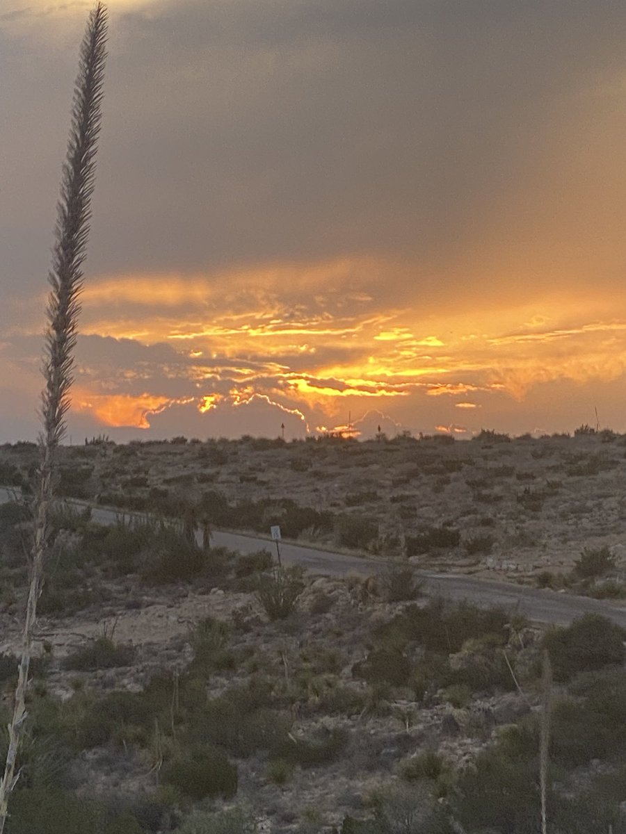 Manu G. Algaba 🏳️‍🌈🏳️‍🌈🏳️‍⚧️🏳️‍⚧️ tweet media