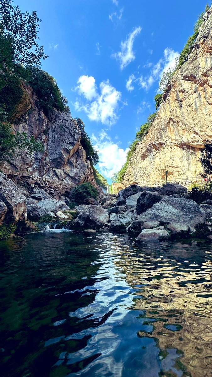 Salva Fori 👣👣 tweet media