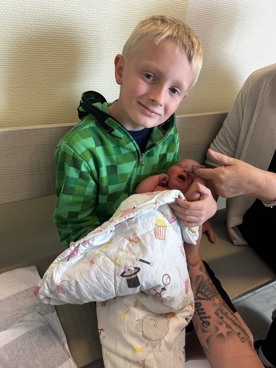 qLimAxzU tweet media