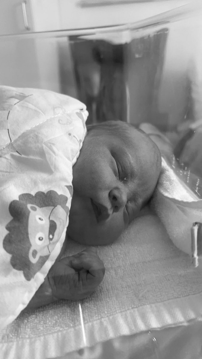 qLimAxzU tweet media