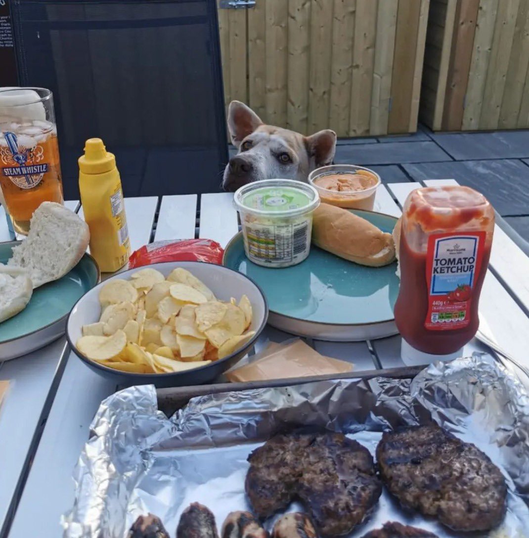 Niall Harbison tweet media