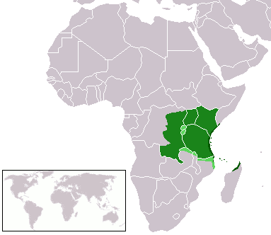 Mkubwa Global tweet media