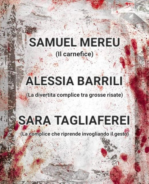 anna maria moscarell tweet media