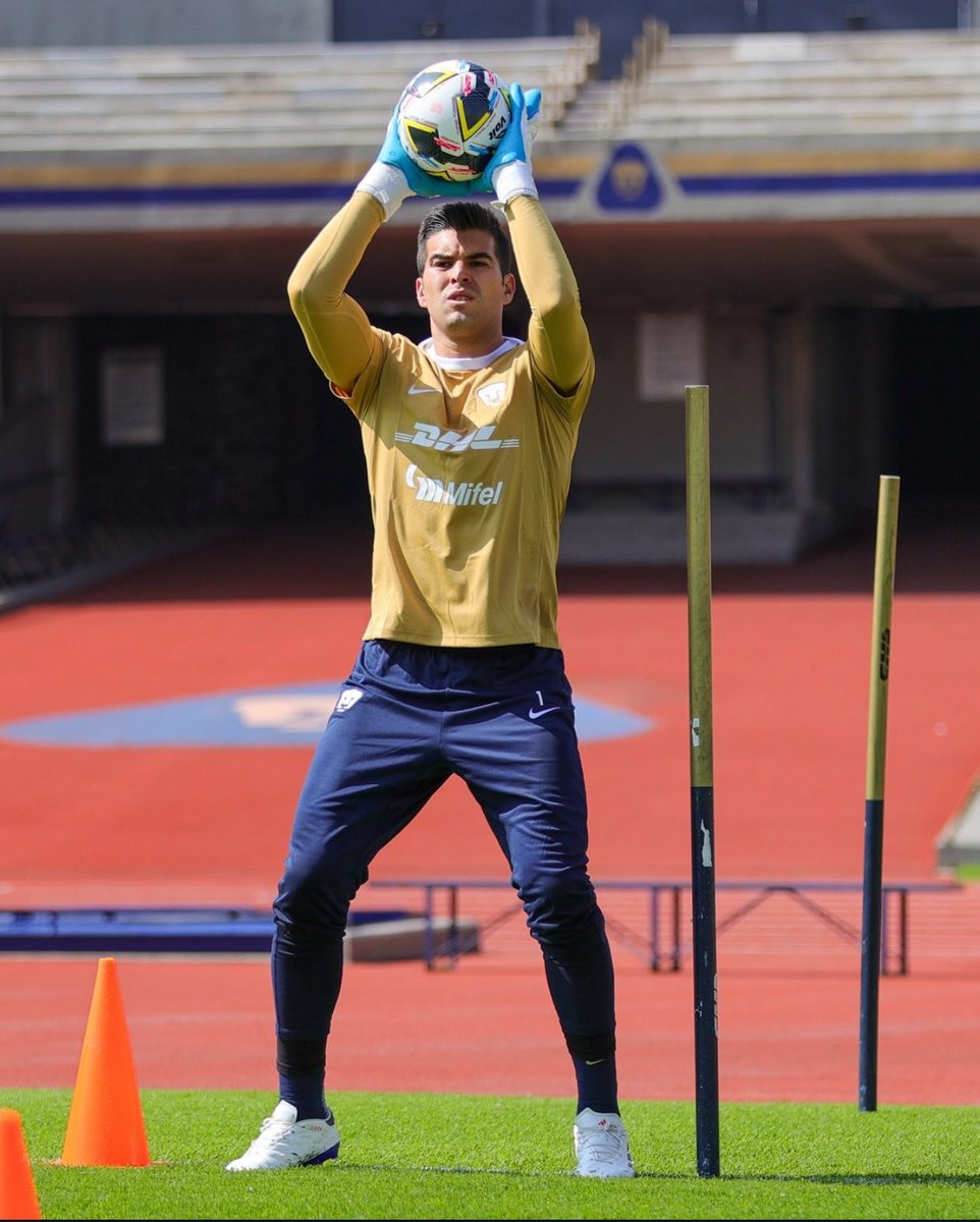 Fabrizio Domínguez Castilla tweet media