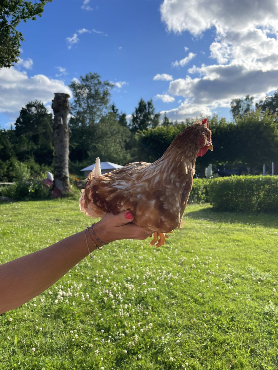 bjrnspjut's tweet photo. Floating cock https://t.co/zZP3uCSoxQ