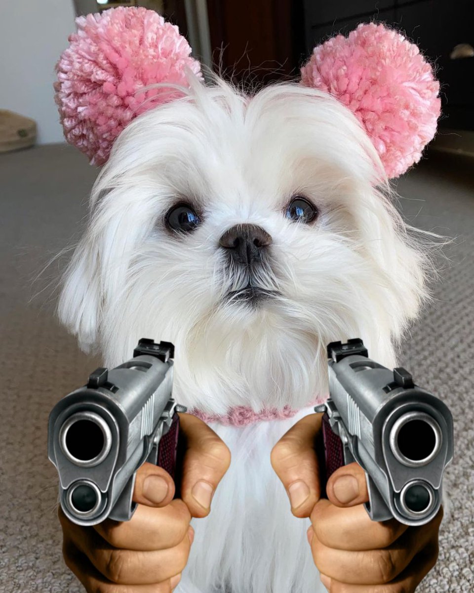 $coco wif gun
