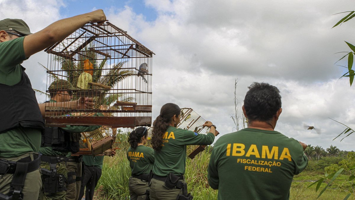 A decisão do Ministro Og Fernandes do STJ de impor multa diária de R$ 200 mil caso os servidores do Ibama não trabalhem durante o licenciamento ambiental é um ataque ao direito de greve. Servidores têm o direito de reivindicar melhores condições de trabalho. (+)