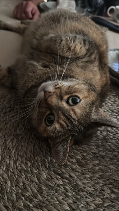 Watch Brittany Elizabeth Welsh's leaked NSFW photo on TwXstars