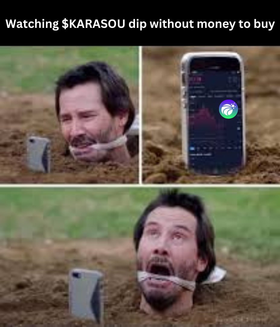 🤷‍♂️

#Crypto #cryptocurrency #Memecoins #Karasou #IntelliqueAI