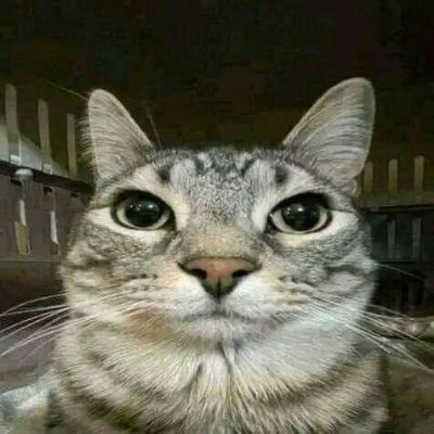 Kid_000_'s tweet photo. @calebsol $zazu https://t.co/2CVaAPf2ZP