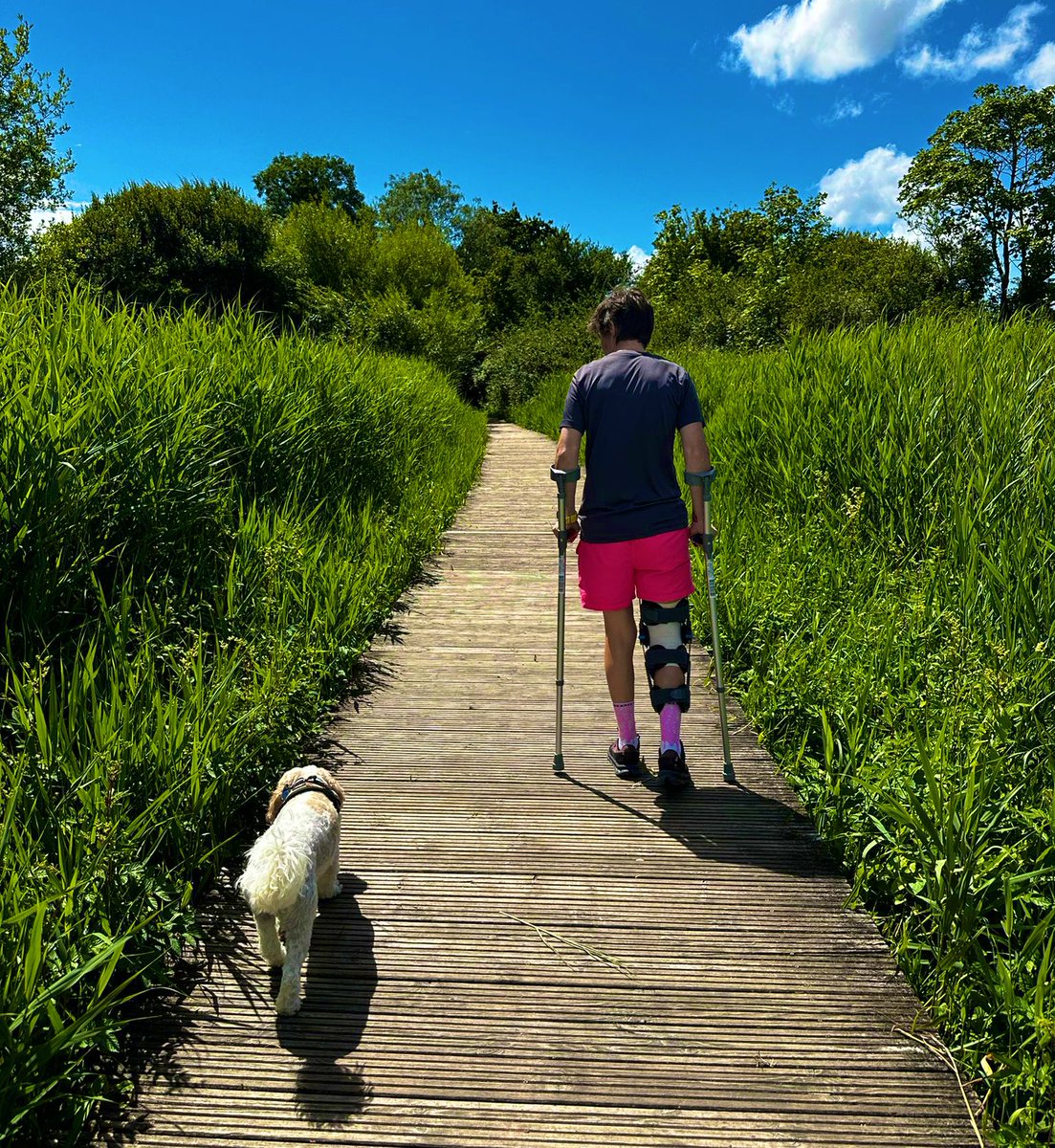 georgie_lloyd's tweet photo. 13 days post op ๐ช๐ช
Hobbling punk ๐ฉผ๐ฉผ
@runningpunks #virtualrunclub https://t.co/CMpVEVZg9H
