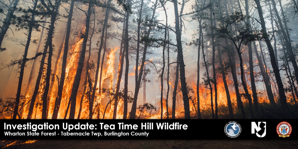 New Jersey Forest Fire Service tweet media