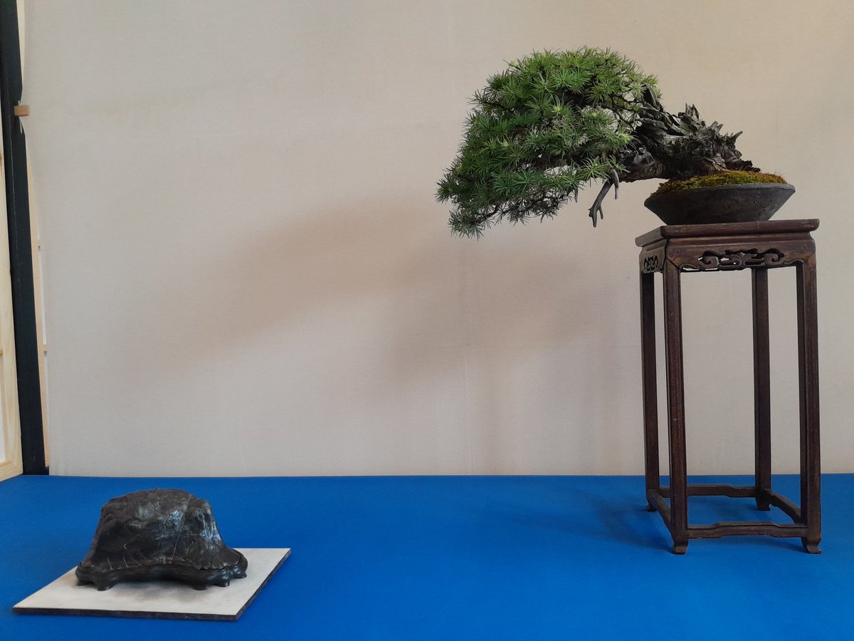 Treegoblin tweet media