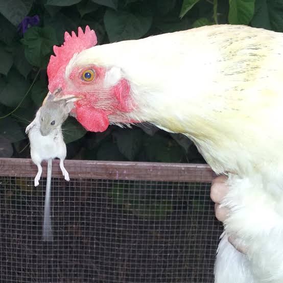 IG : @Janganserius (@janganseriuss) on Twitter photo 