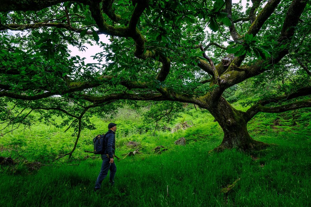 VanguardPhotoES's tweet image. ¿Escapada fotográfica? 👇Cuéntanos dónde has estado o dónde planeas ir.
¡Danos un poco de envidia, lo podemos soportar! 😜✈️ 
📸@joanvendrell 
#fotografiadepaisaje #landscapephotography #veocity #vanguardworldes #lovegreatbritain #lakedistrict
