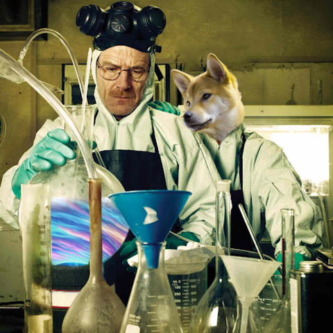 DogeVerse tweet media