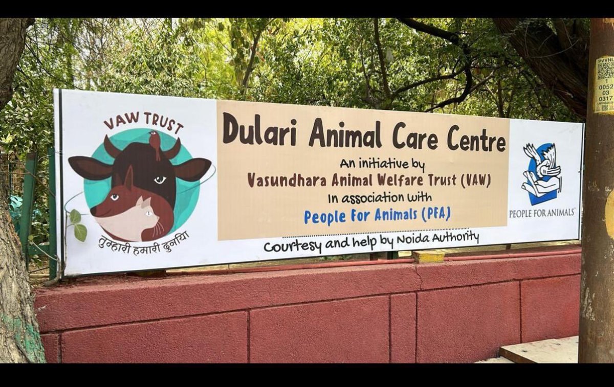 Vibhuti Singh Rathore ✡️✡️ tweet media