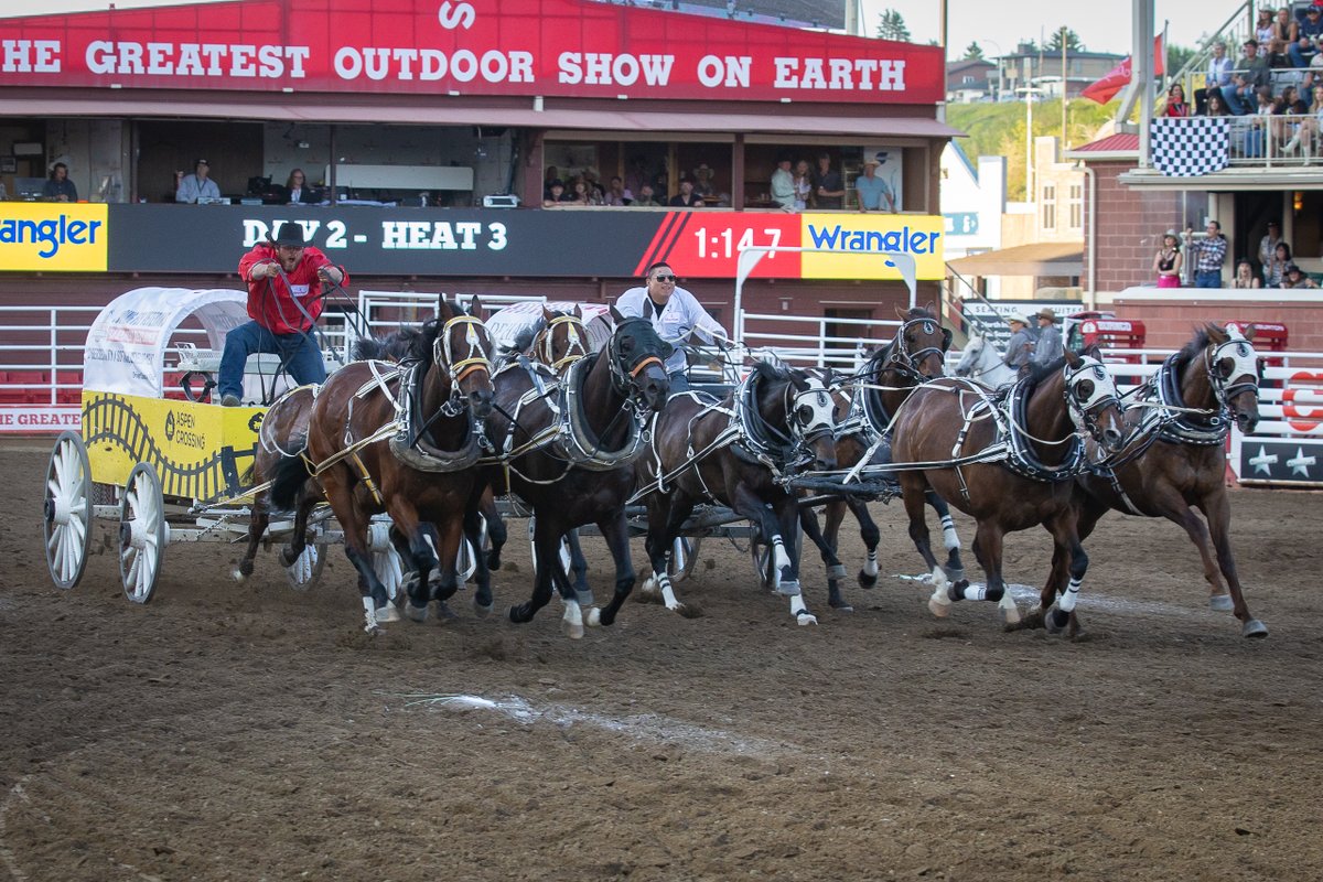 CSchuckwagons's tweet photo. Night #2 of the Cowboys Rangeland Derby is in the books! π Take a look back with us at night 2! π
πΈ: David Kostibie + Tracey Brown #CSChuckwagons #Chuckwagons2024 #CalgaryStampede #2024CowboysRangelandDerby #SecondCenturyofChuckwagonRacing #NightOne #PhotoRecap https://t.co/9EBFMipSQZ