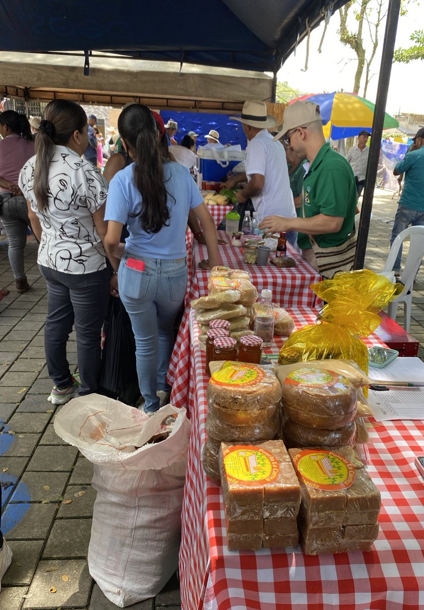Fundación Andap tweet media