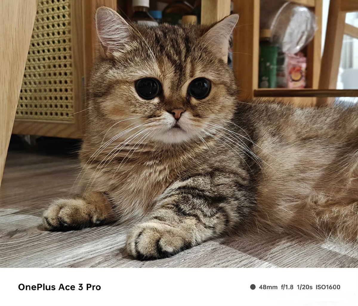 ravi3dfx's tweet image. Shot On OnePlus Ace 3 Pro 👀 
#OnePlus #OnePlusAce3Pro