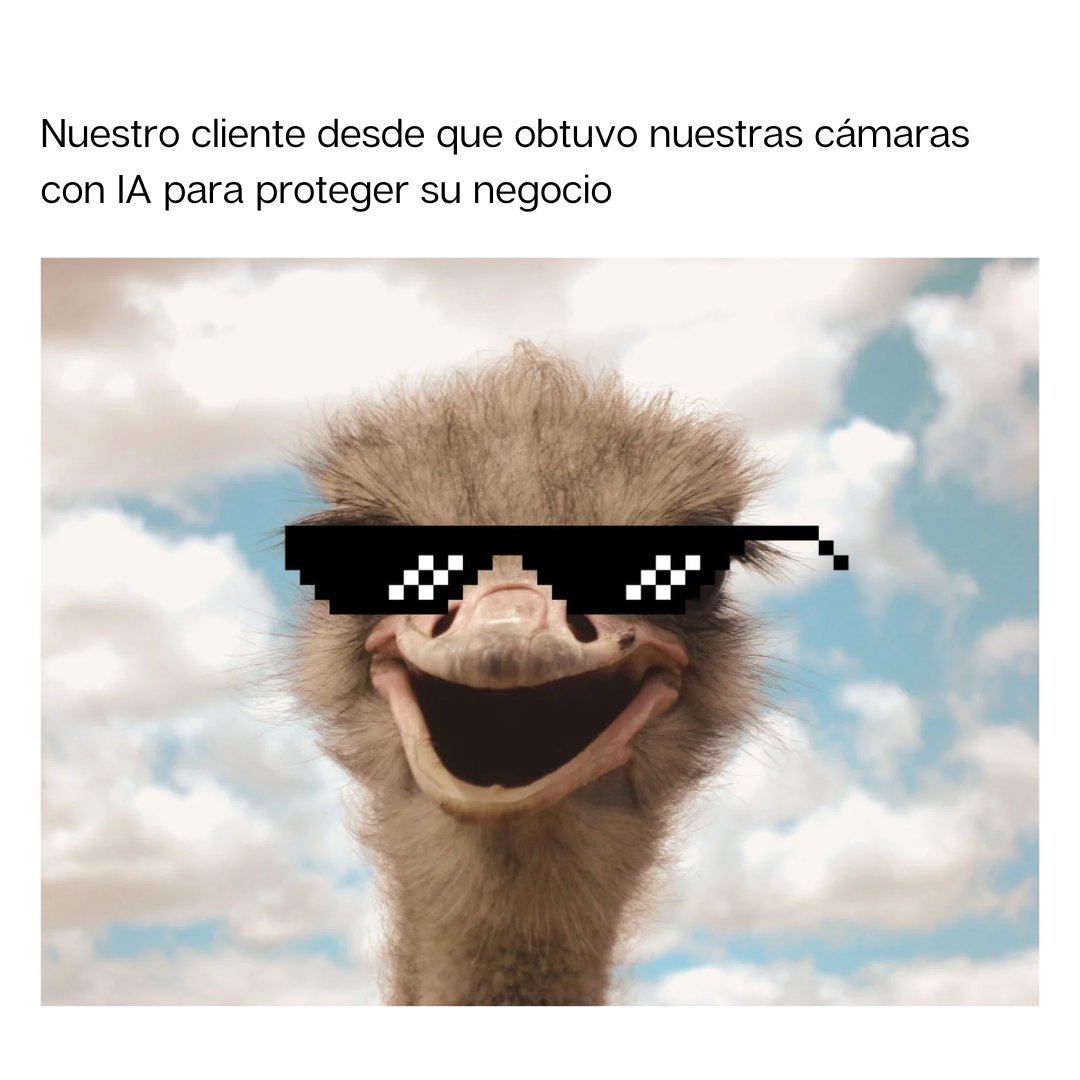 IAlertt's tweet image. No te quedes atrás y obtén protección 24/7 para tu negocio con nuestras cámaras con inteligencia artificial 👌🏻😎
#Tecnologia #innovacion #Memes